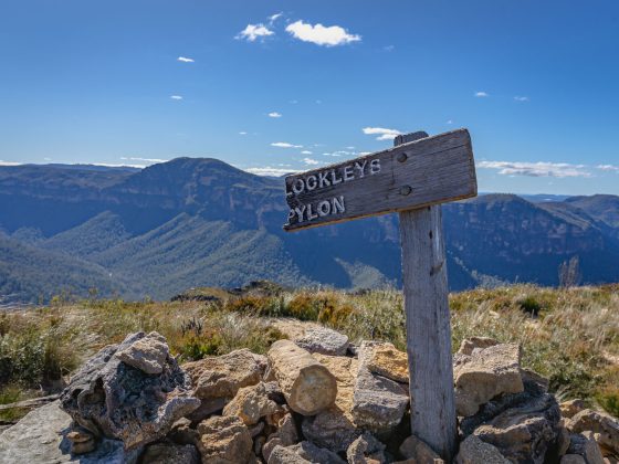 Lockleys Pylon Walking Track Blue Mountains