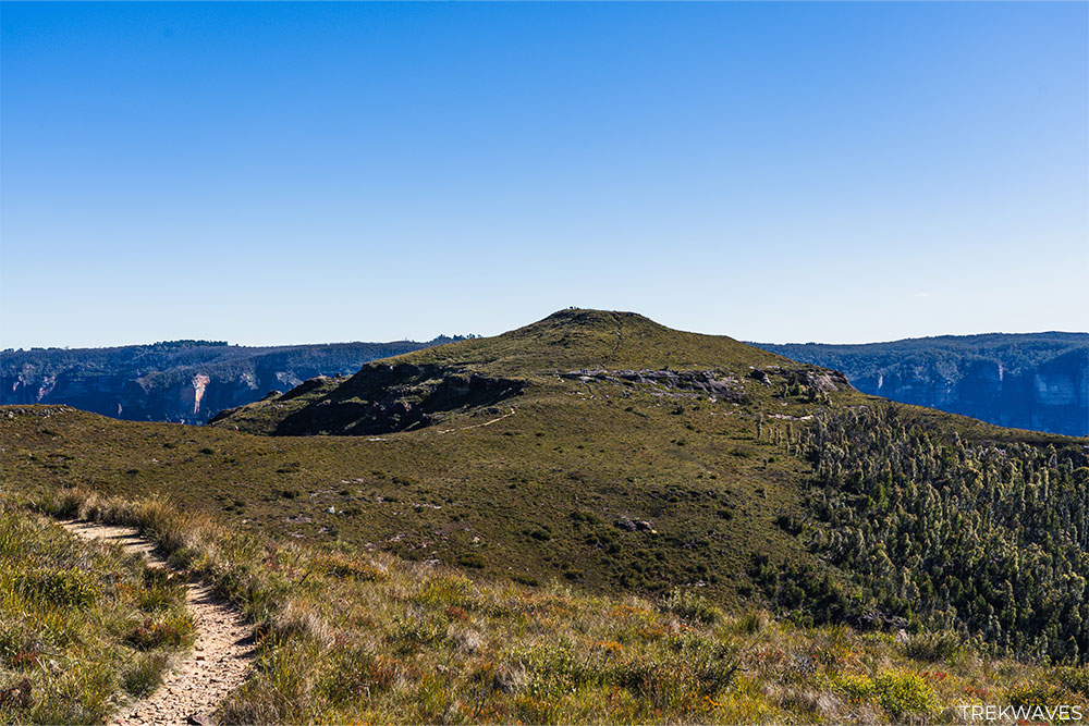 Lockleys Pylon walk - trail to the summit 