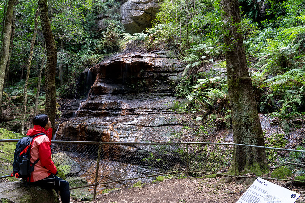 Witches Leap Blue Mountains