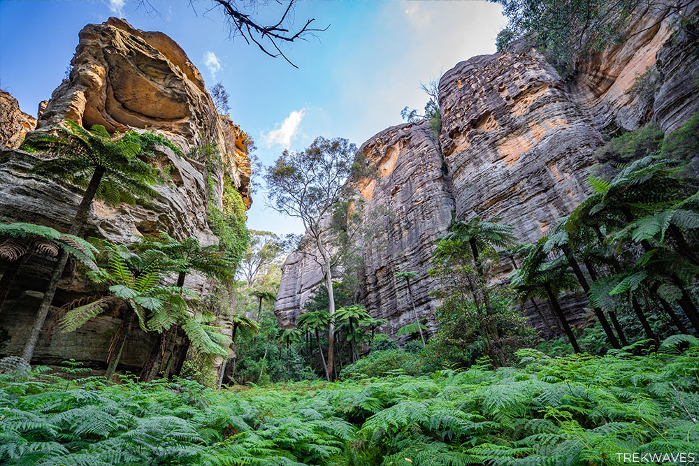 bottom of valley of dinosaurs trail