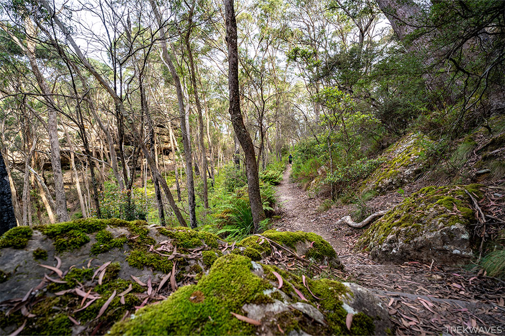 plateau walk kanangra walls