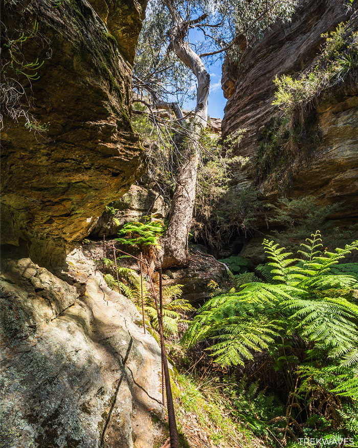 trail to the grotto