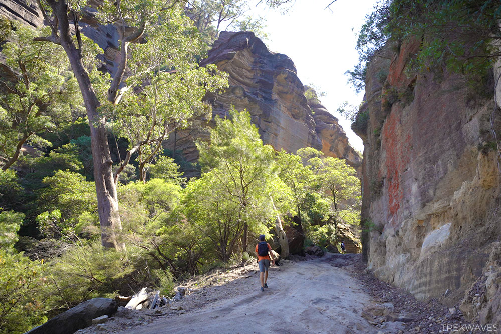 valley of dinosaurs firetrail climb