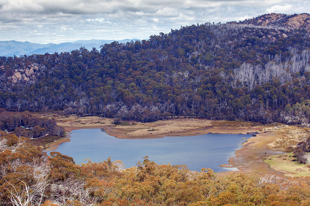 lake catani mount buffalo national park