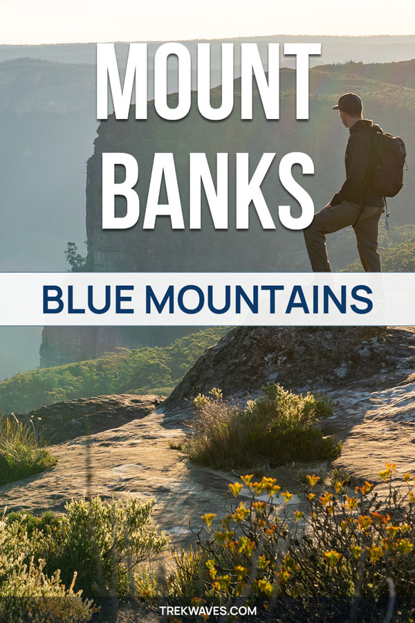 mount banks summit hike blue mountains