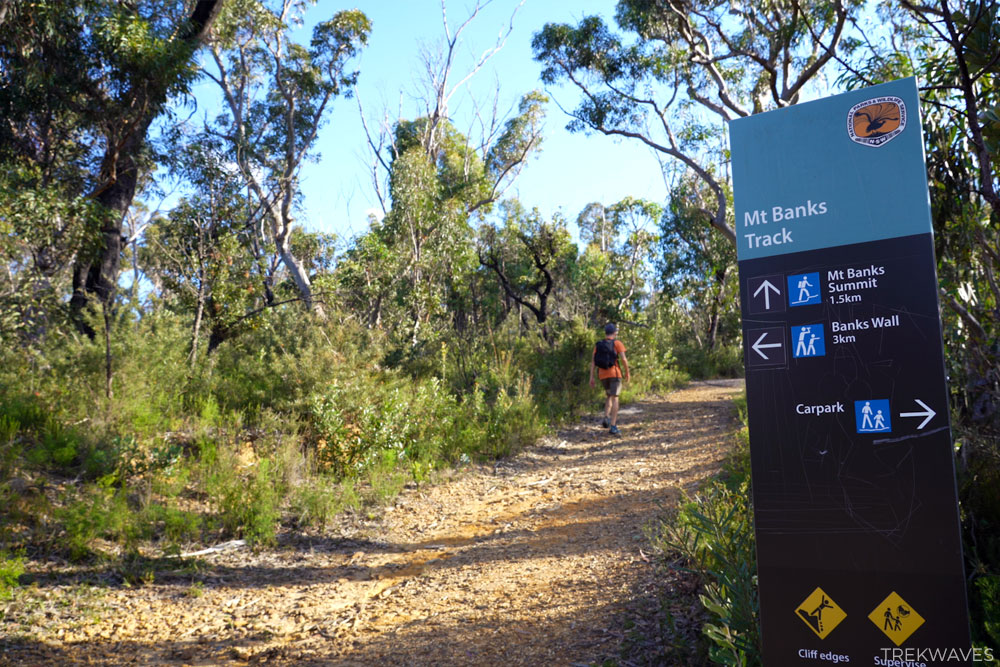 Mount Banks Summit Trail Path