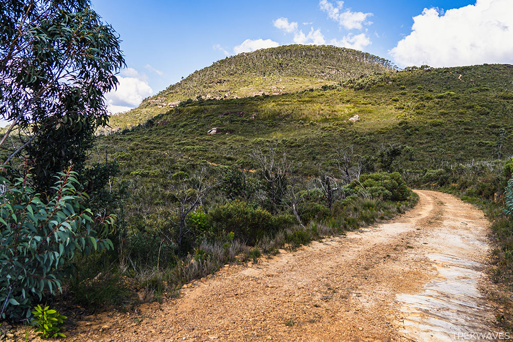 Mount Banks view from the fire trail