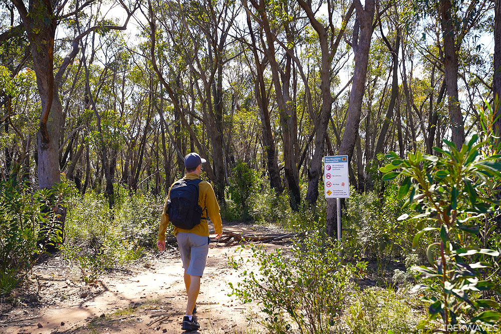 trail to dargans arch