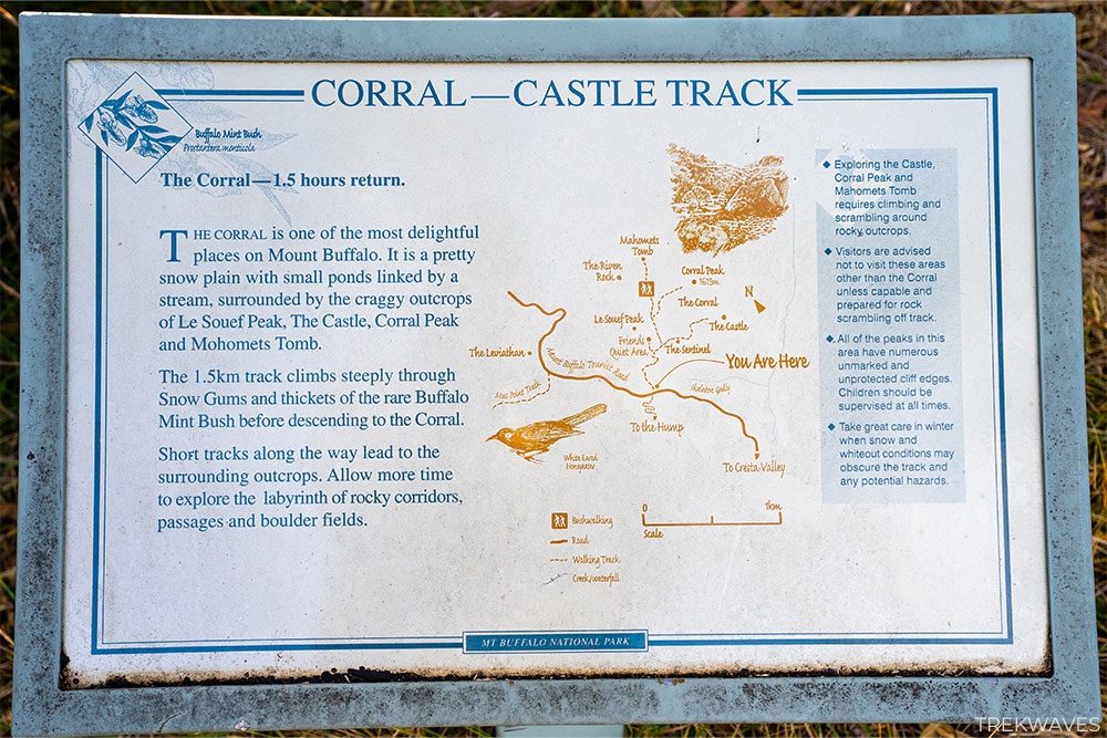 coral castle trail mount buffalo