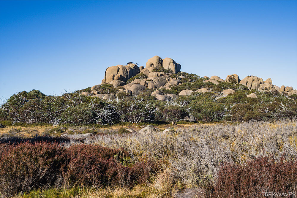 the corral peak mount buffalo