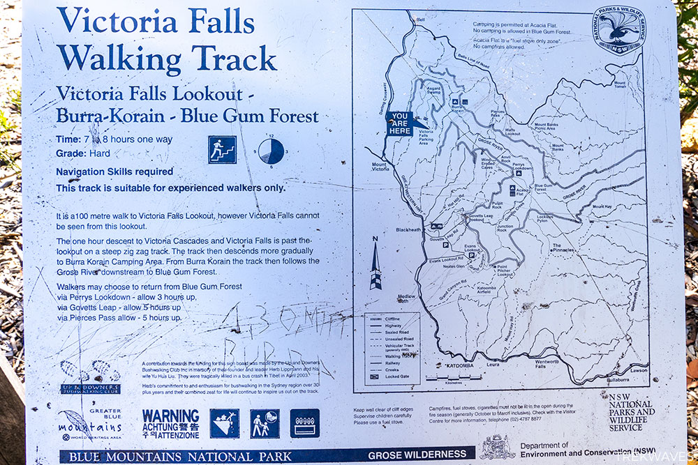 victoria falls blue gum forest walking track