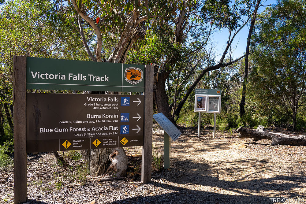 victoria falls track