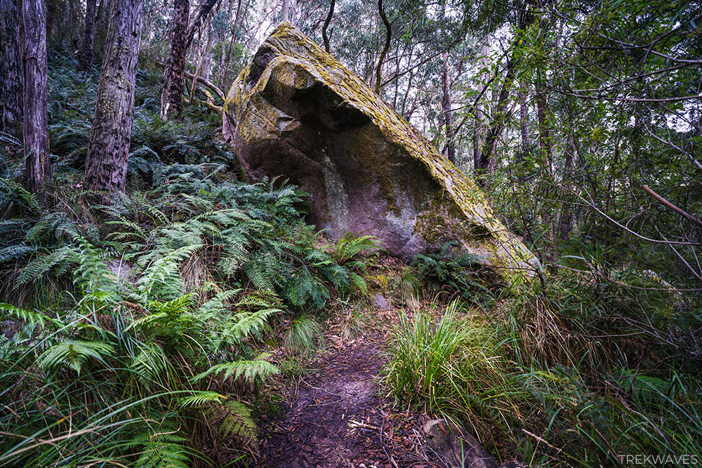 grampians peak trail return from mt rosea