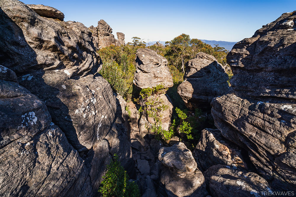 mount rosea grampians national park