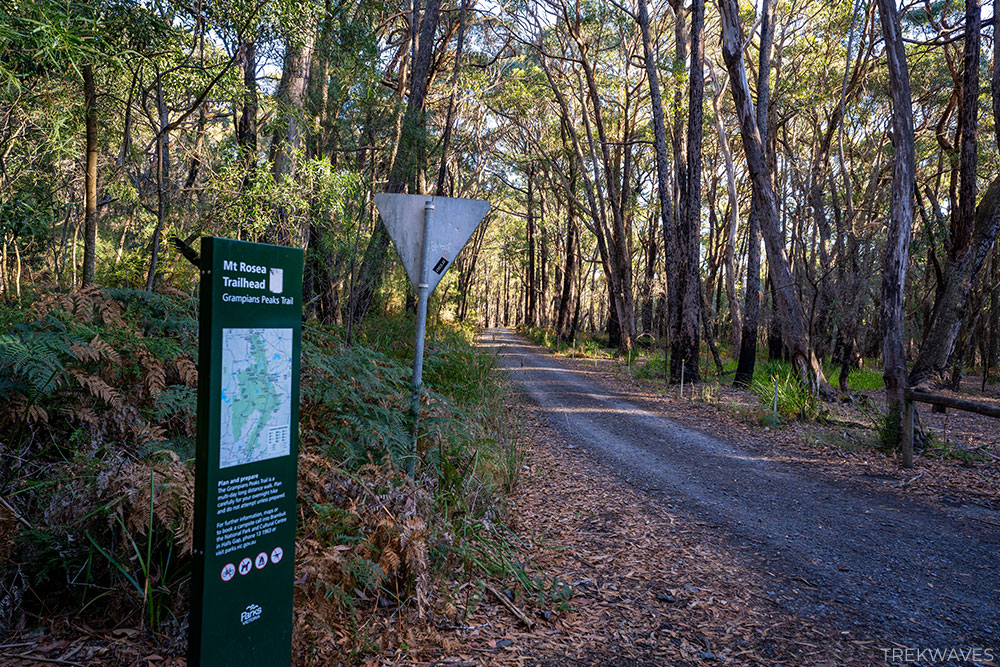mount rosea trail grampians national park