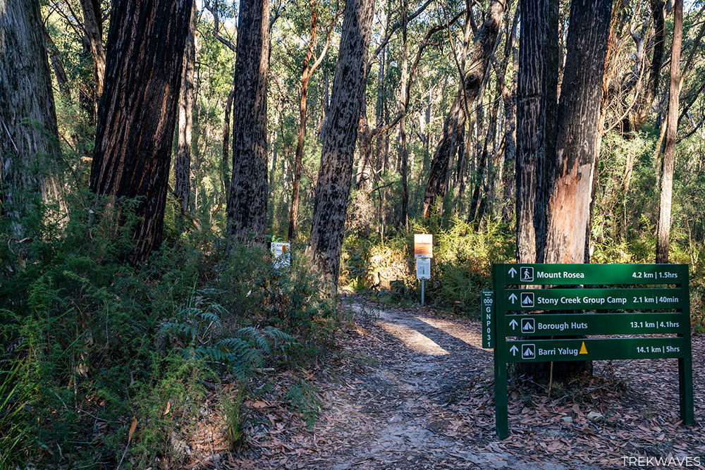 mount rosea trailhead grampians national park