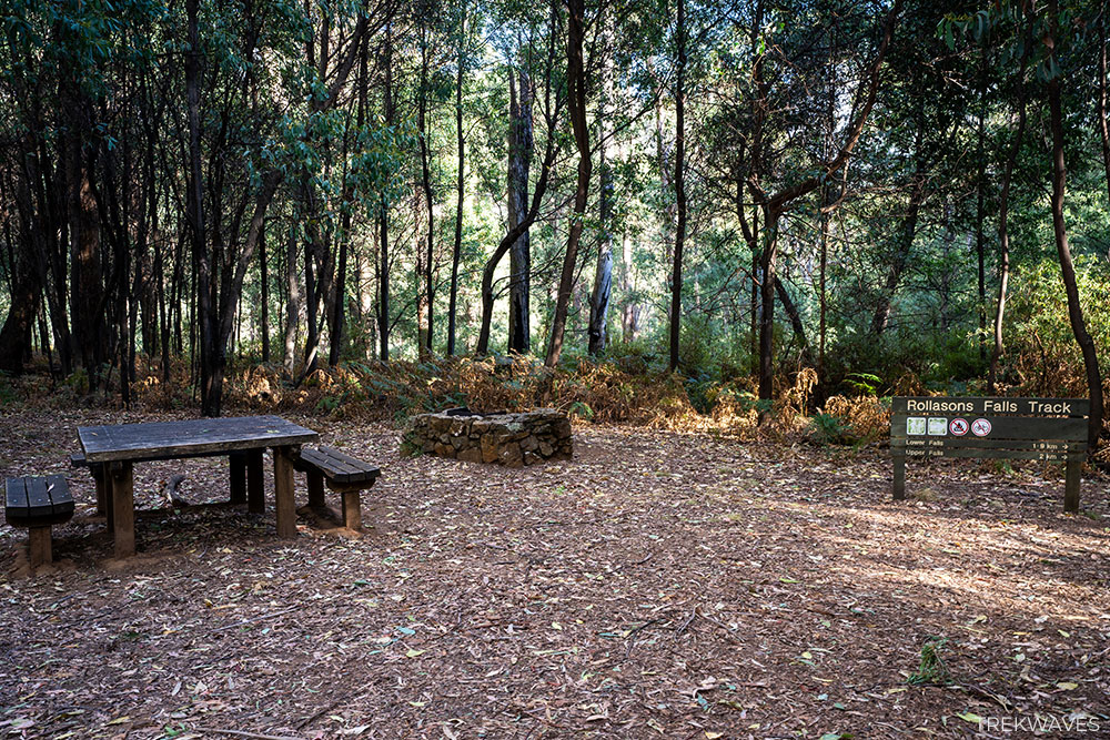 rollason falls picnic area mount buffalo