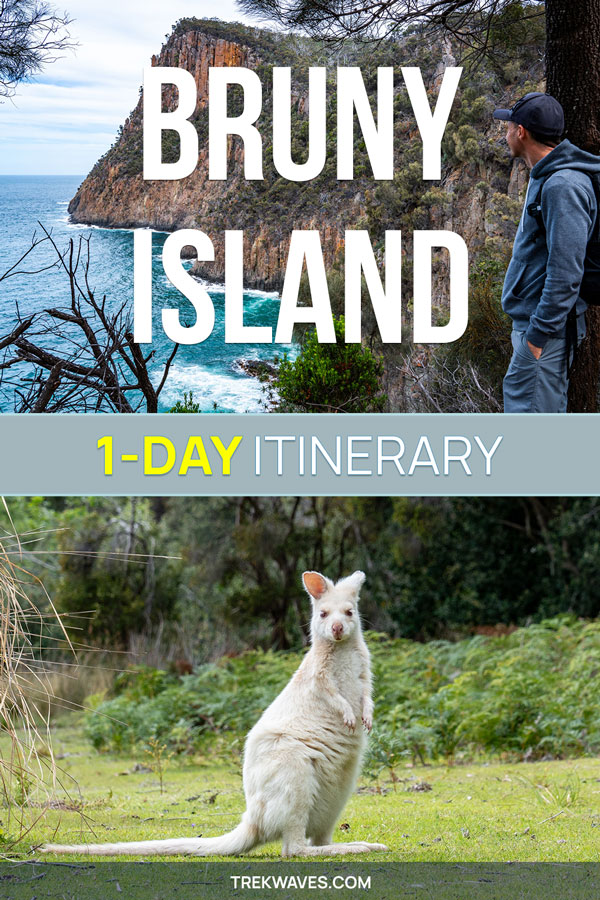 bruny island tour travel guide tasmania