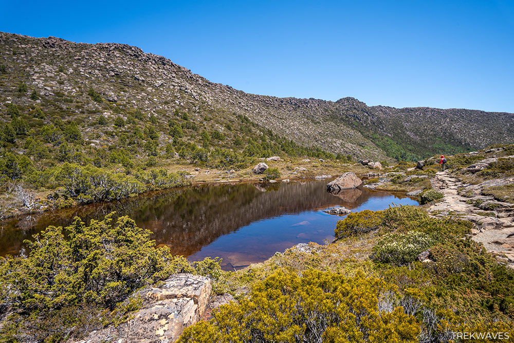johnston tarn mt field national park