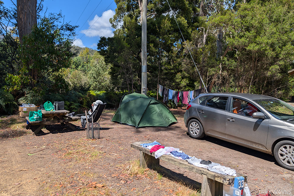 mt field national park campground