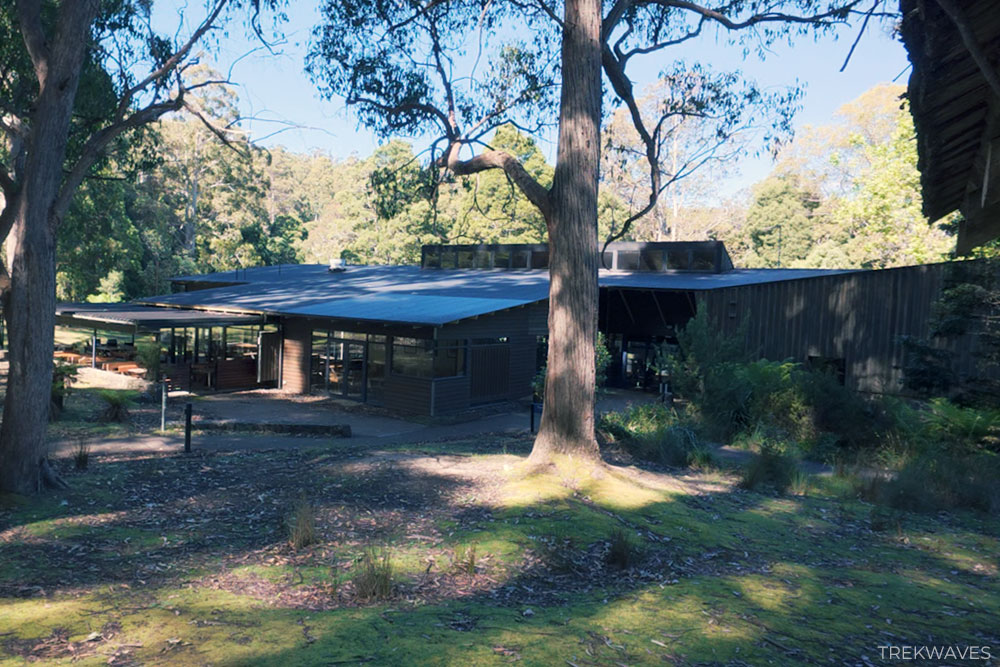 mt field national park visitor centre