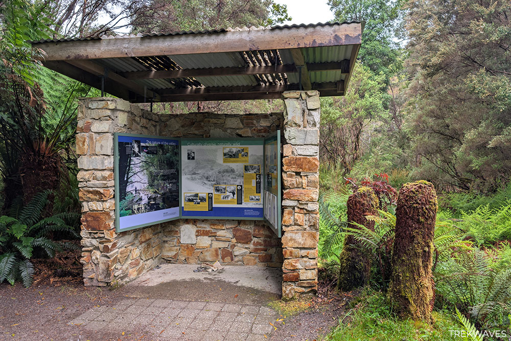 nelson falls walk information board