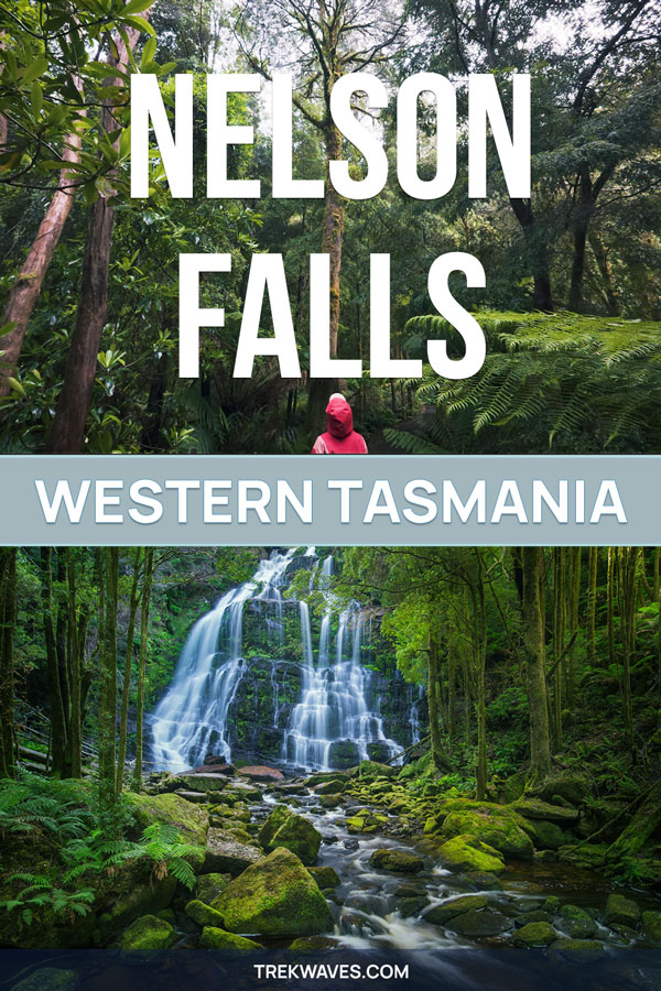 nelson falls walk western tasmania