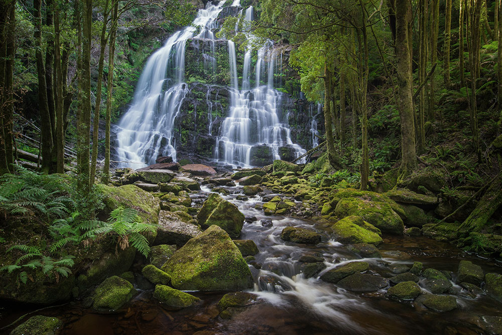 nelson falls tasmania walk