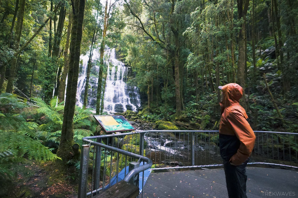 nelson falls viewing platform