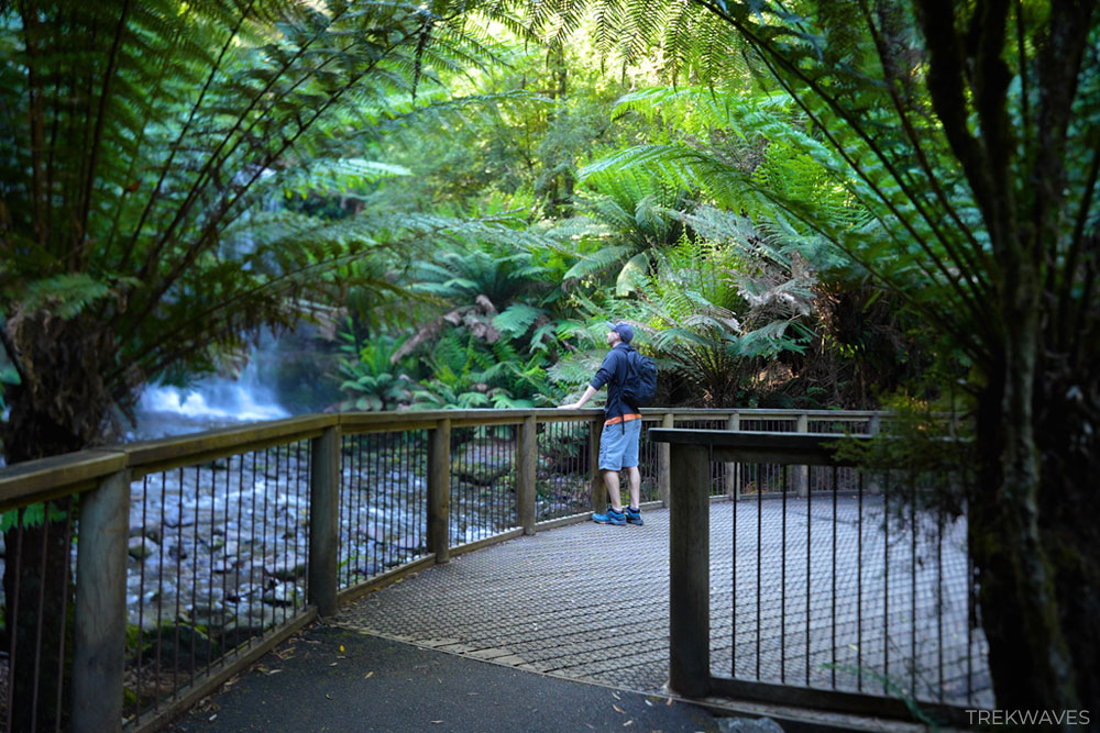 russell falls walk mt field national park tasmania