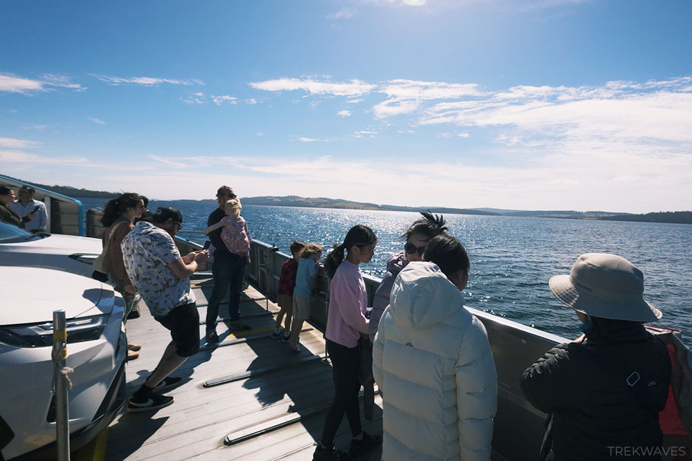 sealink bruny island ferry crossing