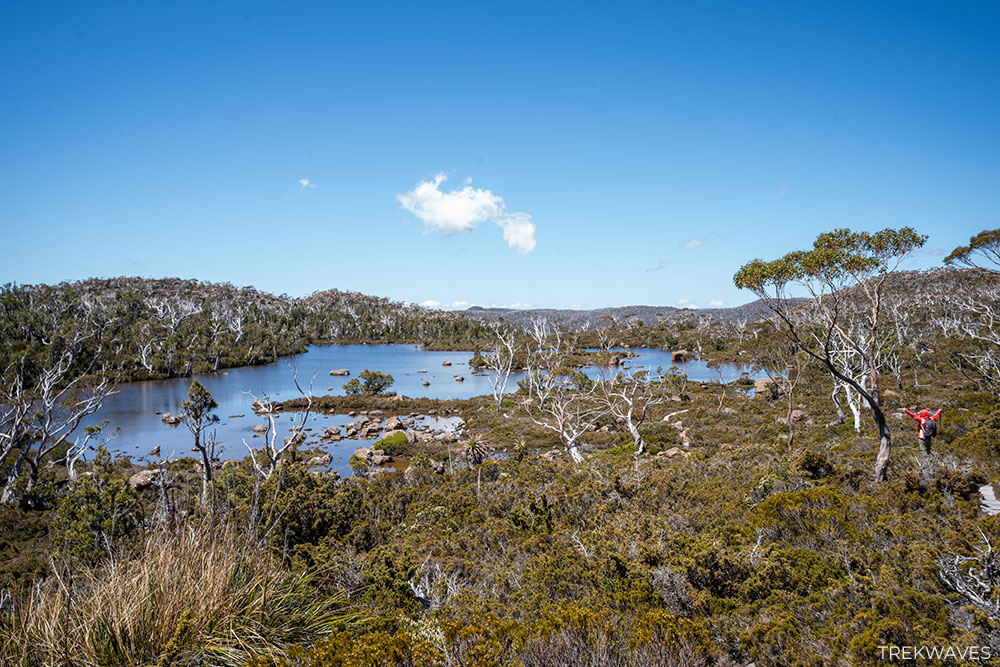 twisted tarn mt field national park