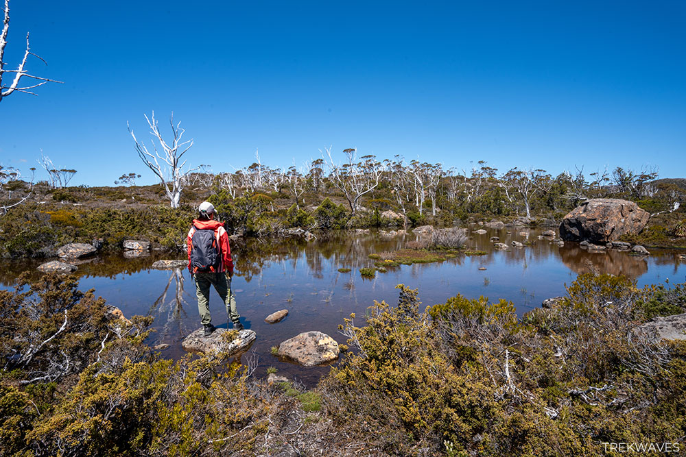 twisted tarn mt field national park