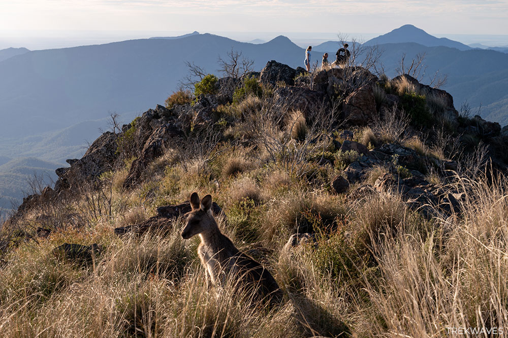 mt kaputar summit lookout view