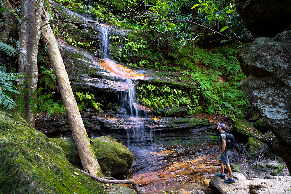Pyramid Falls Terrace Falls Reserve Blue Mountains