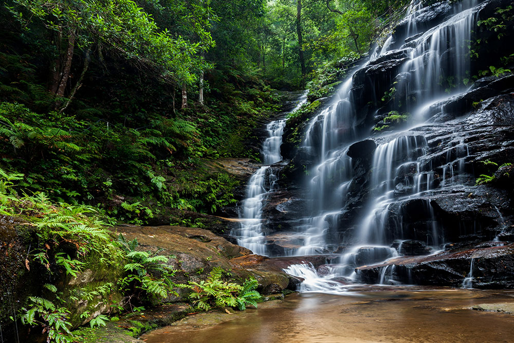sylvia falls blue mountains