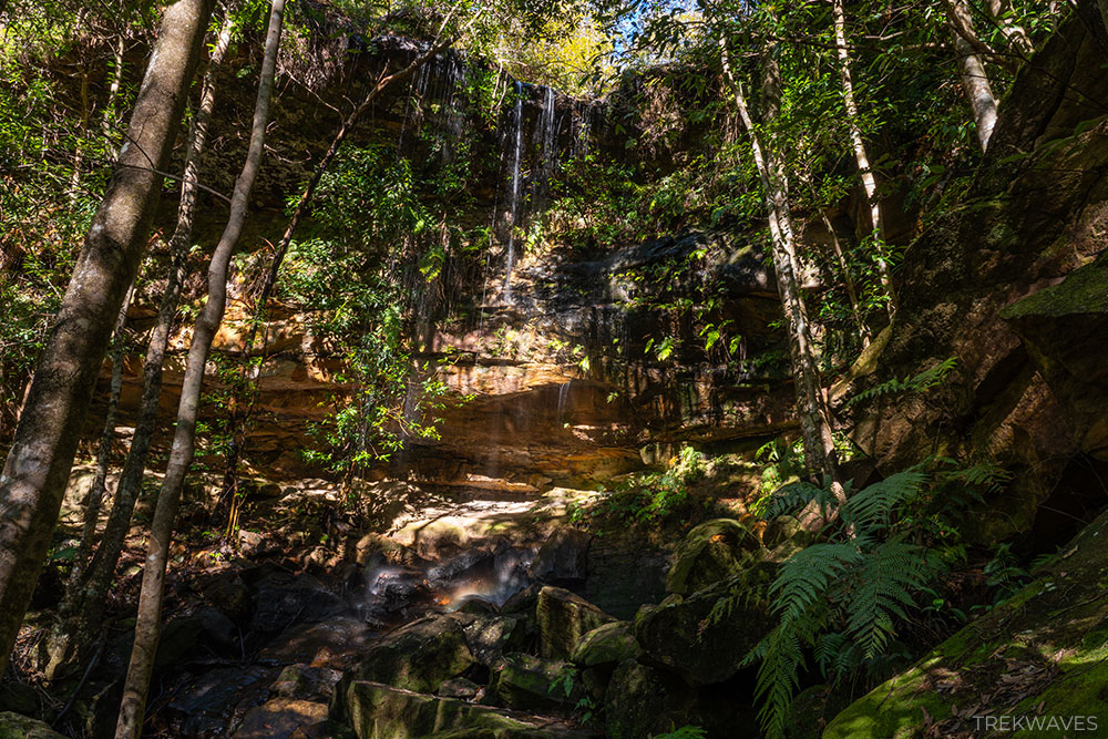 hazel falls transit of venus blue mountains