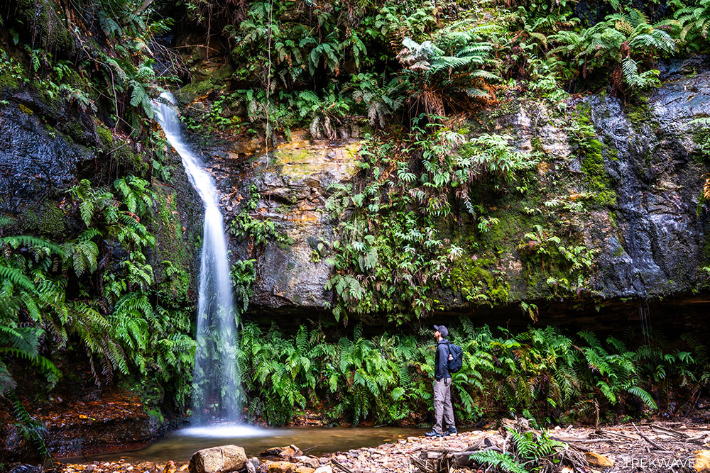 linda falls fern bower blue mountains national park