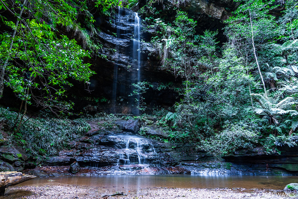 water nymphs dell wentworth falls blue mountains