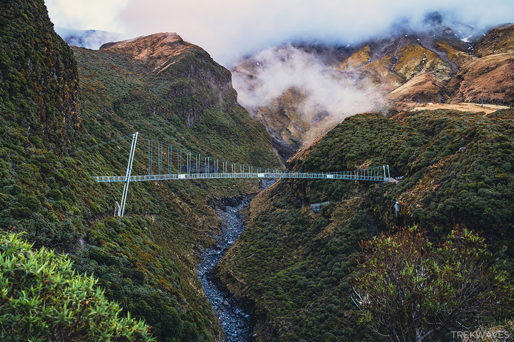 manganui gorge suspension bridge egmont national park