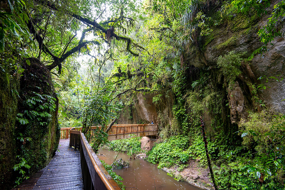 mangapohue natural bridge trail new zealand