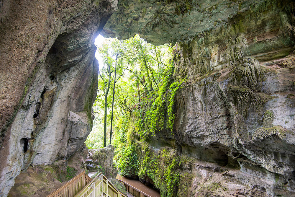 mangapohue natural bridge new zealand