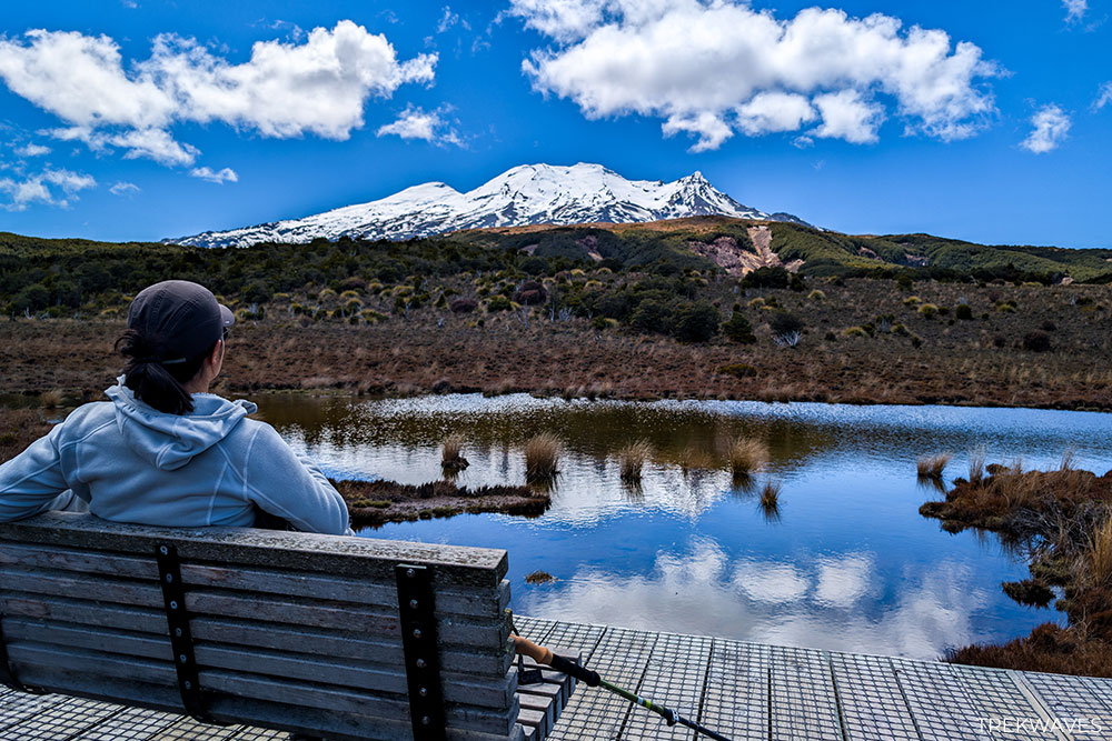 rotokawa wetland waitonga falls track tongariro