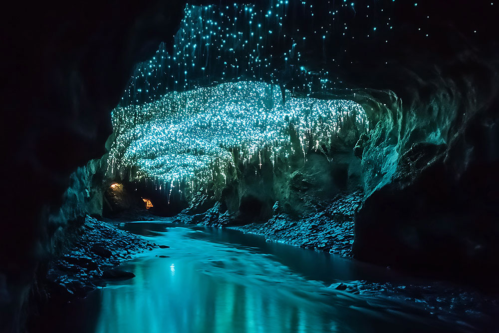 waitomo caves new zealand