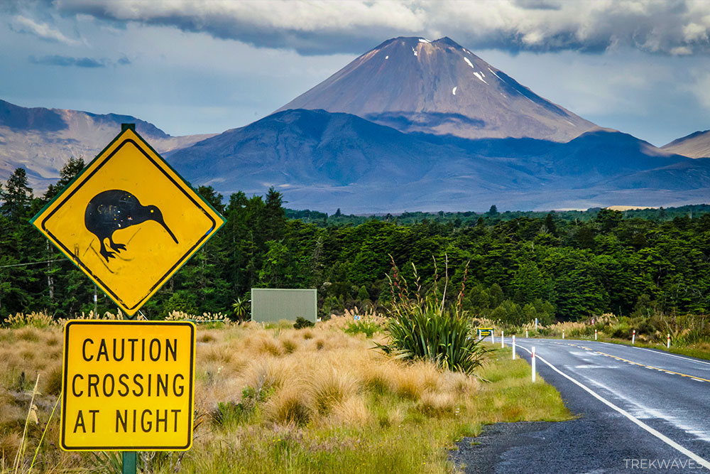 road to tongariro alpine crossing