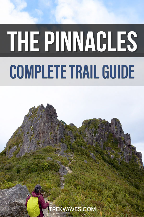 The Pinnacles Kauaeranga Kauri trail guide coromandel new zealand