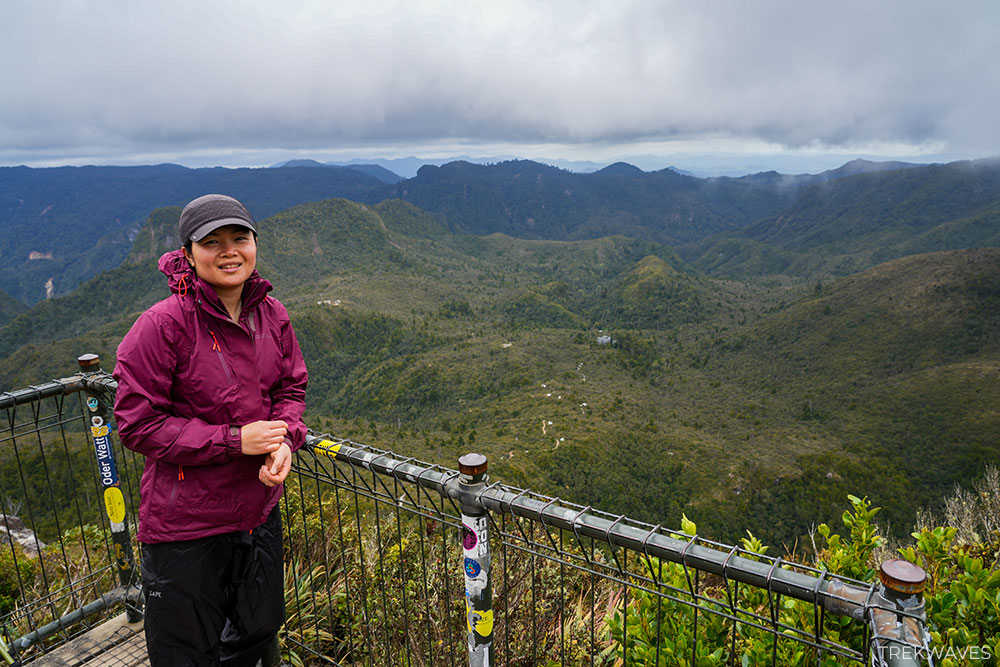 The Pinnacles summit platform coromandel nz