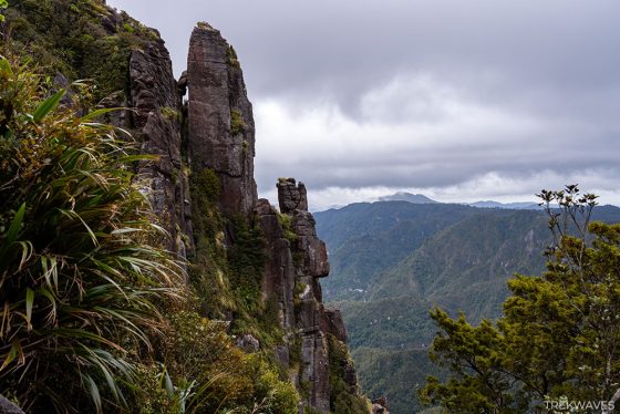 Coromandel Ranges The Pinnacles Walk in Coromandel NZ: Kauaeranga Kauri Trail Guide ...