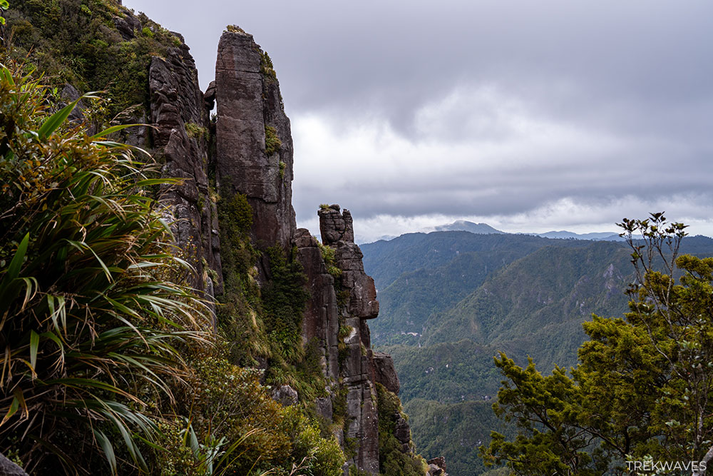 The Pinnacles summit views coromandel nz