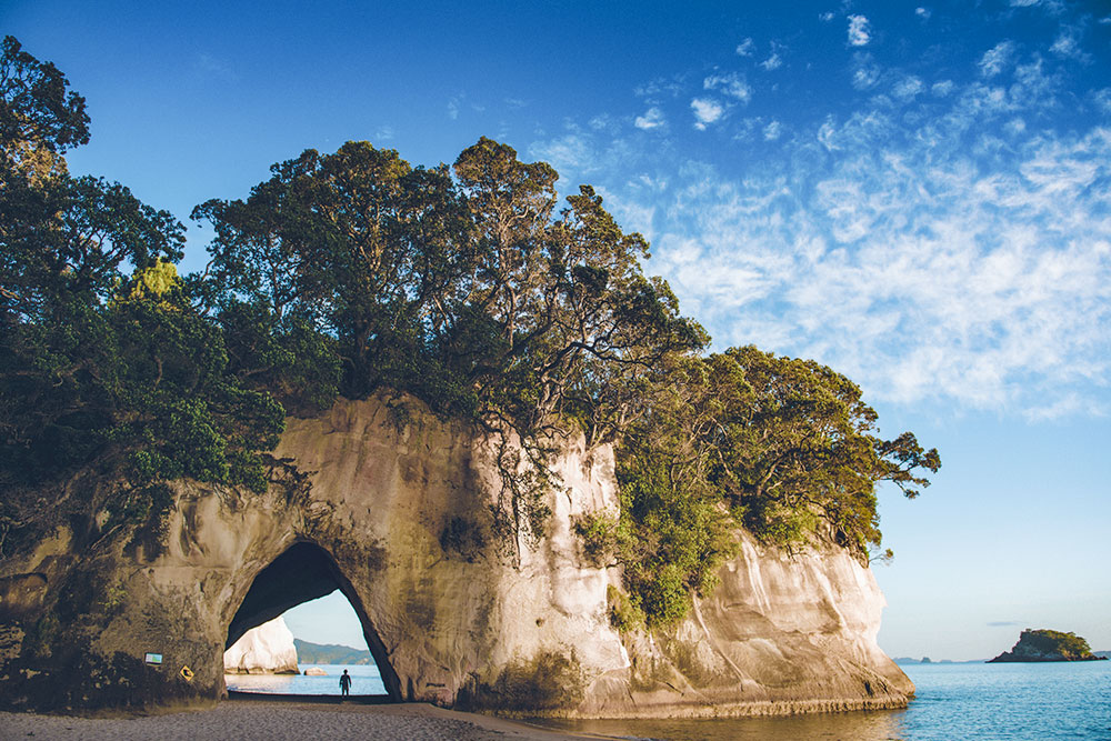 cathedral cove arch hahei coromandel new zealand
